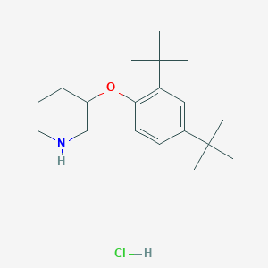 molecular formula C19H32ClNO B1397583 3-(2,4-Di-tert-butylphenoxy)piperidine hydrochloride CAS No. 1220032-75-6