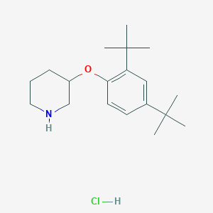3-[2,4-Di(tert-butyl)phenoxy]piperidine hydrochloride