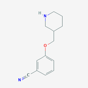 molecular formula C13H16N2O B13975858 3-(3-Piperidinylmethoxy)benzonitrile CAS No. 954223-76-8