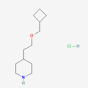 4-[2-(Cyclobutylmethoxy)ethyl]piperidine hydrochloride