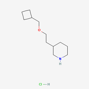 3-[2-(Cyclobutylmethoxy)ethyl]piperidine hydrochloride