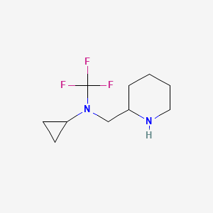 molecular formula C10H17F3N2 B13976071 N-(piperidin-2-ylmethyl)-N-(trifluoromethyl)cyclopropanamine 