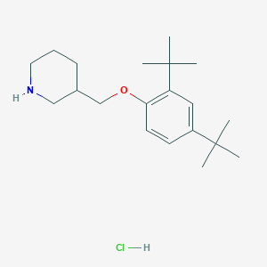 3-{[2,4-Di(tert-butyl)phenoxy]methyl}piperidine hydrochloride