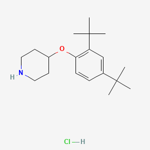 4-[2,4-Di(tert-butyl)phenoxy]piperidine hydrochloride