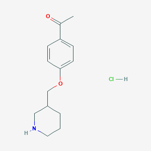 1-[4-(3-Piperidinylmethoxy)phenyl]-1-ethanone hydrochloride