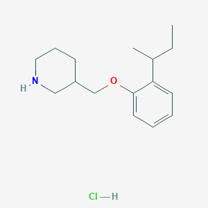 3-{[2-(sec-Butyl)phenoxy]methyl}piperidine hydrochloride