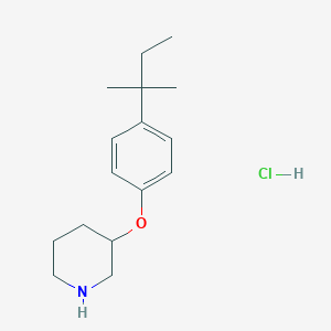4-(tert-Pentyl)phenyl 3-piperidinyl ether hydrochloride