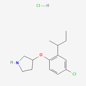 3-[2-(sec-Butyl)-4-chlorophenoxy]pyrrolidine hydrochloride