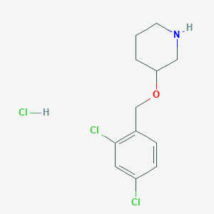 3-(2,4-Dichloro-benzyloxy)-piperidine hydrochloride