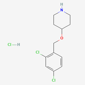 4-(2,4-Dichloro-benzyloxy)-piperidine hydrochloride