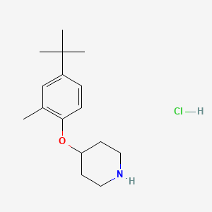 4-[4-(tert-Butyl)-2-methylphenoxy]piperidine hydrochloride