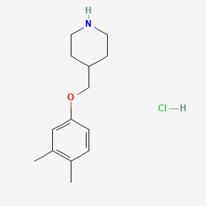molecular formula C14H22ClNO B1397632 4-[(3,4-Dimethylphenoxy)methyl]piperidine hydrochloride CAS No. 1220028-16-9