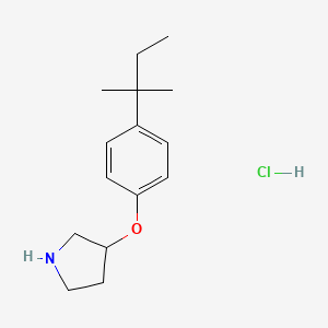 molecular formula C15H24ClNO B1397633 4-(tert-Pentyl)phenyl 3-pyrrolidinyl ether hydrochloride CAS No. 1219982-42-9