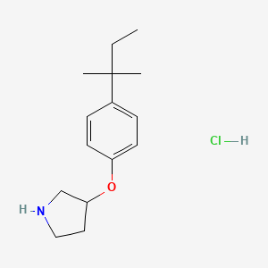 4-(tert-Pentyl)phenyl 3-pyrrolidinyl ether hydrochloride