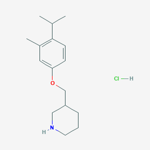3-[(4-Isopropyl-3-methylphenoxy)methyl]piperidine hydrochloride