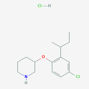 molecular formula C15H23Cl2NO B1397644 3-[2-(sec-Butyl)-4-chlorophenoxy]piperidine hydrochloride CAS No. 1219972-71-0