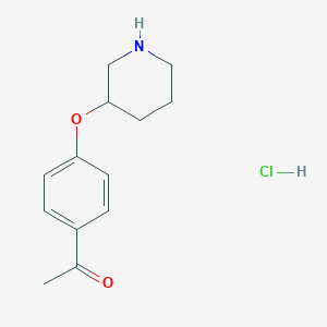 molecular formula C13H18ClNO2 B1397645 1-[4-(3-Piperidinyloxy)phenyl]-1-ethanone hydrochloride CAS No. 1219976-42-7