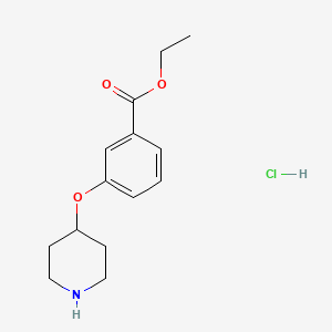 molecular formula C14H20ClNO3 B1397647 Ethyl 3-(4-piperidinyloxy)benzoate hydrochloride CAS No. 1220019-62-4
