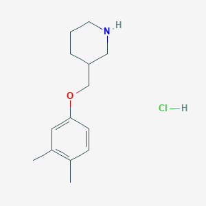 molecular formula C14H22ClNO B1397648 3-[(3,4-Dimethylphenoxy)methyl]piperidine hydrochloride CAS No. 1220019-75-9
