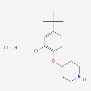 4-[4-(tert-Butyl)-2-chlorophenoxy]piperidine hydrochloride