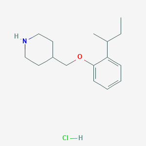 molecular formula C16H26ClNO B1397663 4-{[2-(sec-Butyl)phenoxy]methyl}piperidine hydrochloride CAS No. 1220033-63-5