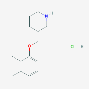 molecular formula C14H22ClNO B1397664 3-[(2,3-Dimethylphenoxy)methyl]piperidine hydrochloride CAS No. 1220033-58-8