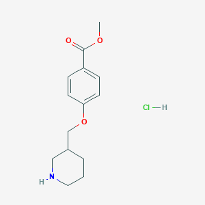 molecular formula C14H20ClNO3 B1397666 Methyl 4-(3-piperidinylmethoxy)benzoate hydrochloride CAS No. 1219972-65-2