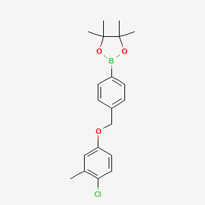 molecular formula C20H24BClO3 B13976672 2-(4-((4-Chloro-3-methylphenoxy)methyl)phenyl)-4,4,5,5-tetramethyl-1,3,2-dioxaborolane 