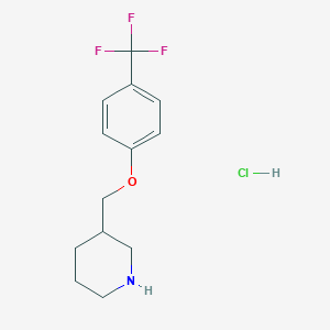 molecular formula C13H17ClF3NO B1397668 3-((4-(Trifluoromethyl)phenoxy)methyl)piperidine hydrochloride CAS No. 1220037-57-9