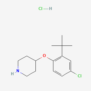 molecular formula C15H23Cl2NO B1397673 4-[2-(tert-Butyl)-4-chlorophenoxy]piperidine hydrochloride CAS No. 1146960-66-8