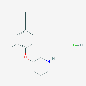 molecular formula C16H26ClNO B1397674 3-[4-(tert-Butyl)-2-methylphenoxy]piperidine hydrochloride CAS No. 1220030-77-2