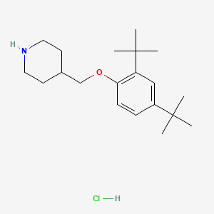 molecular formula C20H34ClNO B1397675 4-{[2,4-Di(tert-butyl)phenoxy]methyl}piperidine hydrochloride CAS No. 1220021-32-8