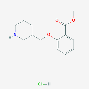 molecular formula C14H20ClNO3 B1397681 Methyl 2-(3-piperidinylmethoxy)benzoate hydrochloride CAS No. 1220020-77-8