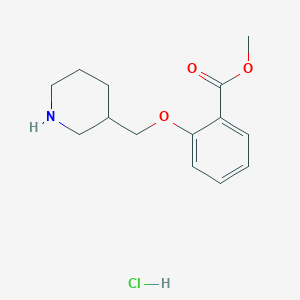 Methyl 2-(3-piperidinylmethoxy)benzoate hydrochloride