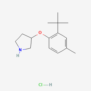 3-[2-(tert-Butyl)-4-methylphenoxy]pyrrolidine hydrochloride