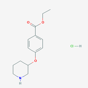 Ethyl 4-(3-piperidinyloxy)benzoate hydrochloride