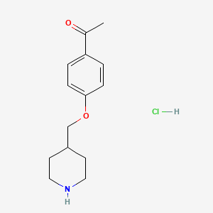 1-[4-(4-Piperidinylmethoxy)phenyl]-1-ethanone hydrochloride