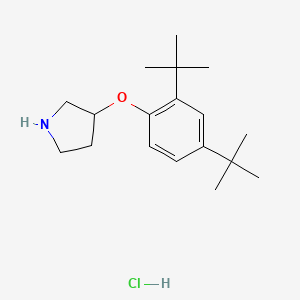 3-[2,4-Di(tert-butyl)phenoxy]pyrrolidine hydrochloride