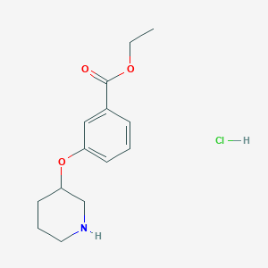 molecular formula C14H20ClNO3 B1397692 Ethyl 3-(3-piperidinyloxy)benzoate hydrochloride CAS No. 1220033-70-4