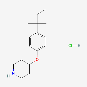molecular formula C16H26ClNO B1397693 4-(tert-Pentyl)phenyl 4-piperidinyl ether hydrochloride CAS No. 1219963-86-6