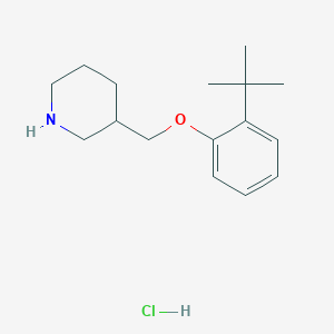 2-(tert-Butyl)phenyl 3-piperidinylmethyl ether hydrochloride