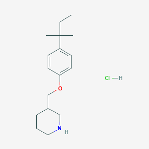 molecular formula C17H28ClNO B1397697 3-((4-(tert-Pentyl)phenoxy)methyl)piperidine hydrochloride CAS No. 1220029-25-3