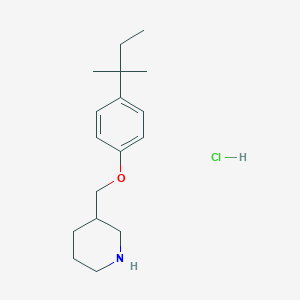 3-{[4-(tert-Pentyl)phenoxy]methyl}piperidine hydrochloride