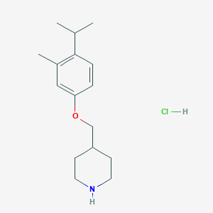 4-[(4-Isopropyl-3-methylphenoxy)methyl]piperidine hydrochloride