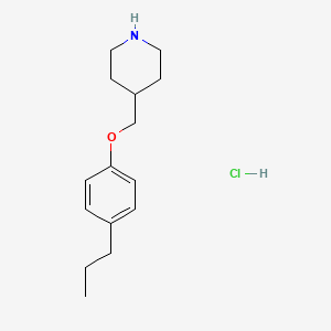 molecular formula C15H24ClNO B1397708 4-[(4-Propylphenoxy)methyl]piperidine hydrochloride CAS No. 1220034-13-8