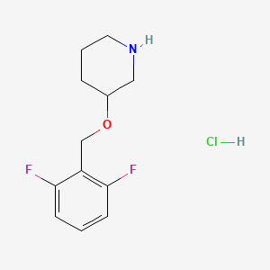 molecular formula C12H16ClF2NO B1397712 3-[(2,6-二氟苄基)氧基]哌啶盐酸盐 CAS No. 1219977-12-4