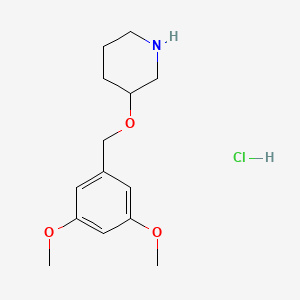 3-[(3,5-Dimethoxybenzyl)oxy]piperidine hydrochloride