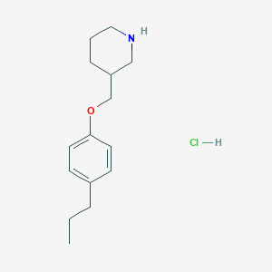 molecular formula C15H24ClNO B1397717 3-[(4-Propylphenoxy)methyl]piperidine hydrochloride CAS No. 1219963-82-2