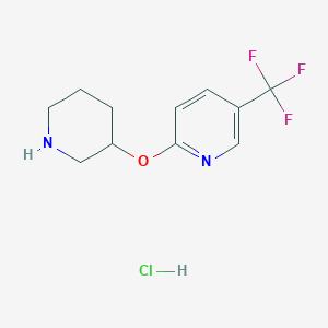molecular formula C11H14ClF3N2O B1397720 2-(3-Piperidinyloxy)-5-(trifluoromethyl)pyridine hydrochloride CAS No. 1220037-04-6