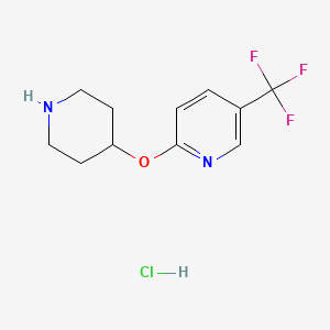 molecular formula C11H14ClF3N2O B1397722 2-(4-Piperidinyloxy)-5-(trifluoromethyl)pyridine hydrochloride CAS No. 1219979-10-8